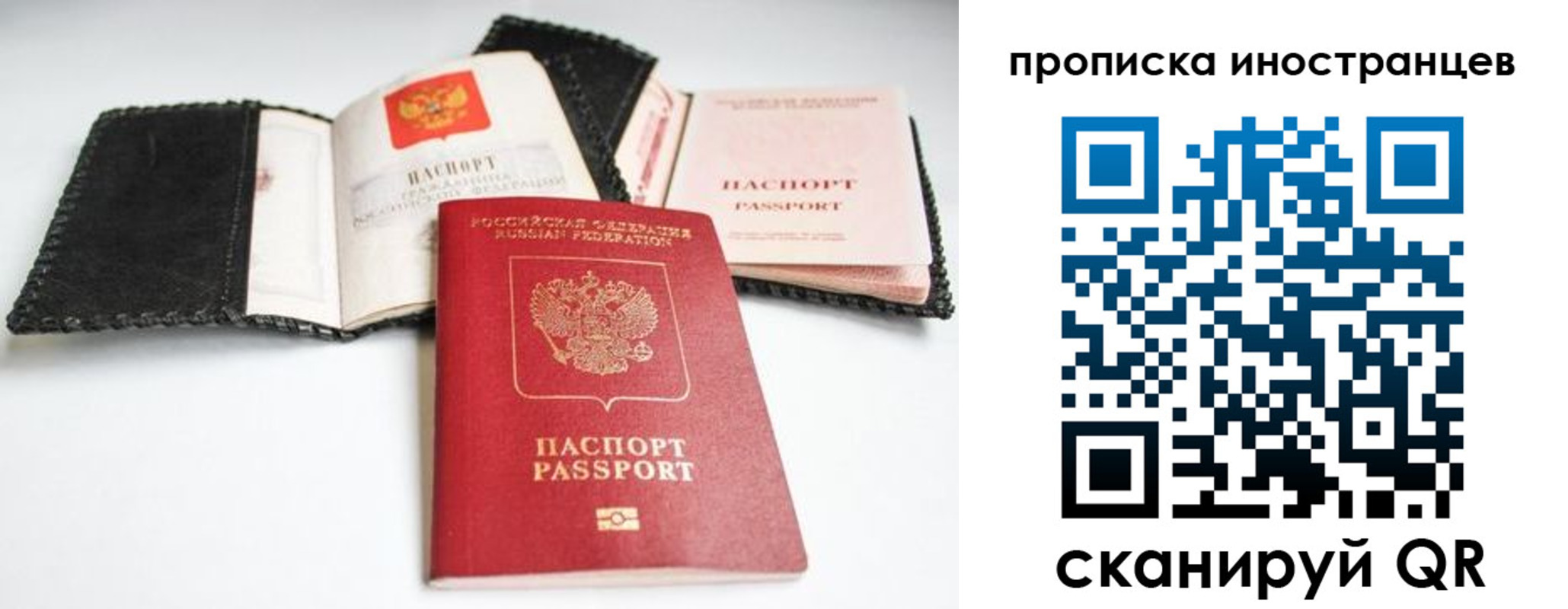 прописка паспорт в Сертолово