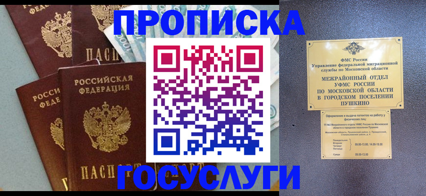 прописка гарантия в Сертолово